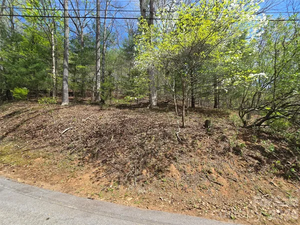 $45,000 | 0 Winding Way Drive, Unit 32/33, Franklin, NC 28734