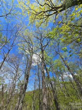 $45,000 | 0 Winding Way Drive, Unit 32/33, Franklin, NC 28734