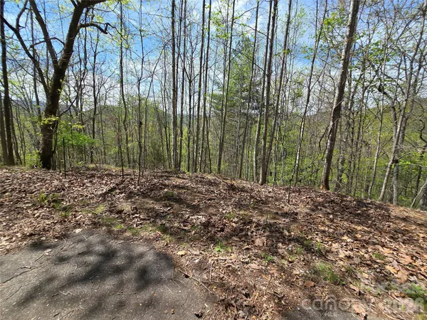 $45,000 | 0 Winding Way Drive, Unit 32/33, Franklin, NC 28734