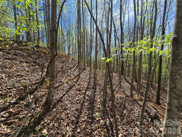 $45,000 | 0 Winding Way Drive, Unit 32/33, Franklin, NC 28734