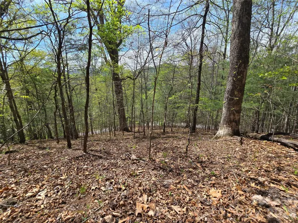 $45,000 | 0 Winding Way Drive, Unit 32/33, Franklin, NC 28734