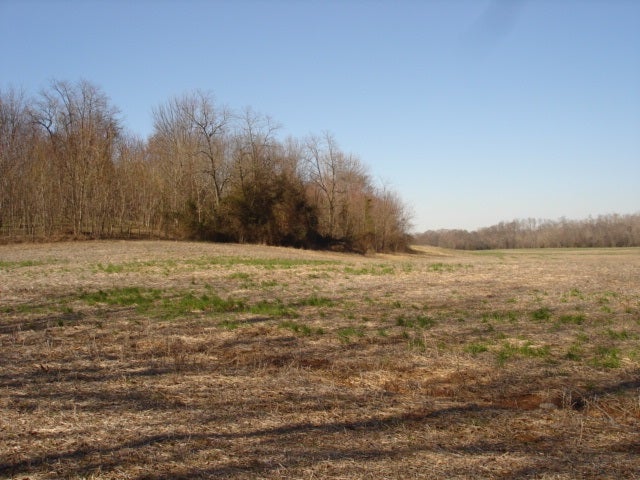 0 Minnicks-Johnson Road Franklin, KY 42134 - Photo 9 of 12 Gallery Image 9