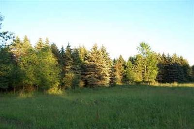 Lake Road, Unit PAR A Lakeview, MI 48850 - Photo 1 of 1 Primary Photo