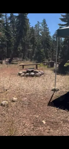 a view of a backyard of a house