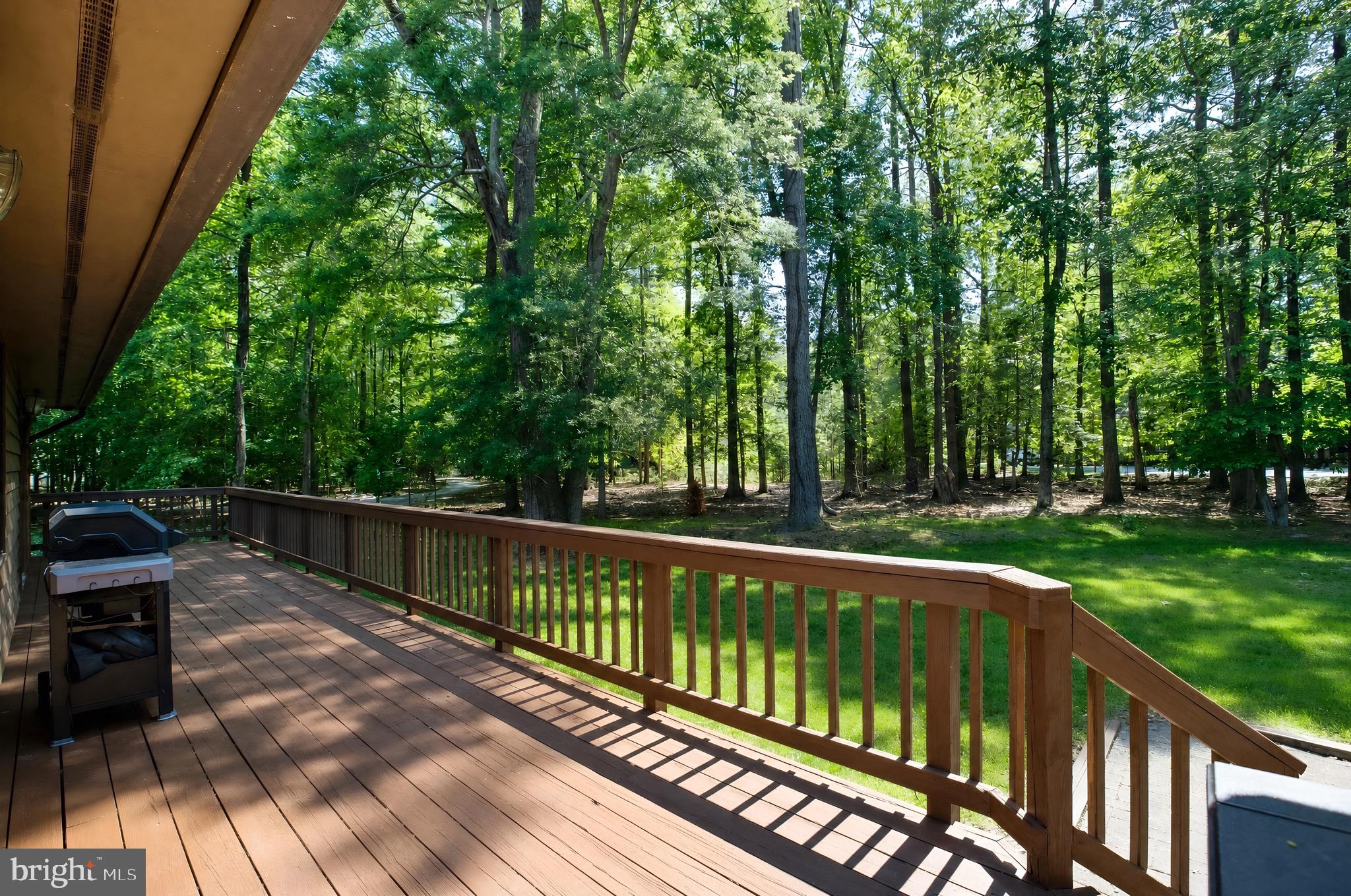 14575 Honeysuckle Way Issue, MD 20645 - Photo 19 of 49 a view of a wooden deck with trees in the background