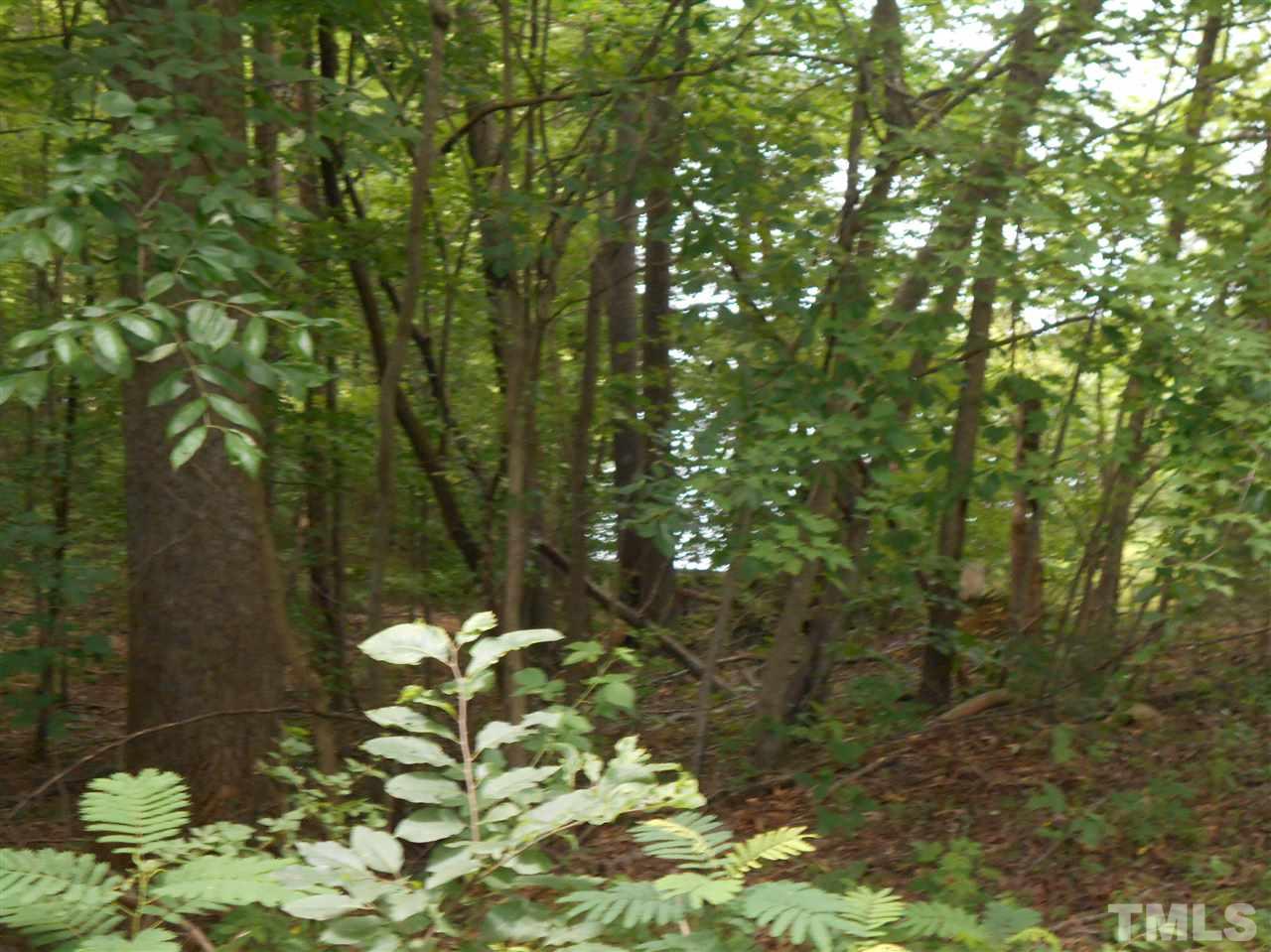 3 Sugartree Lane Roxboro, NC 27574 - Photo 3 of 4 a backyard of a house