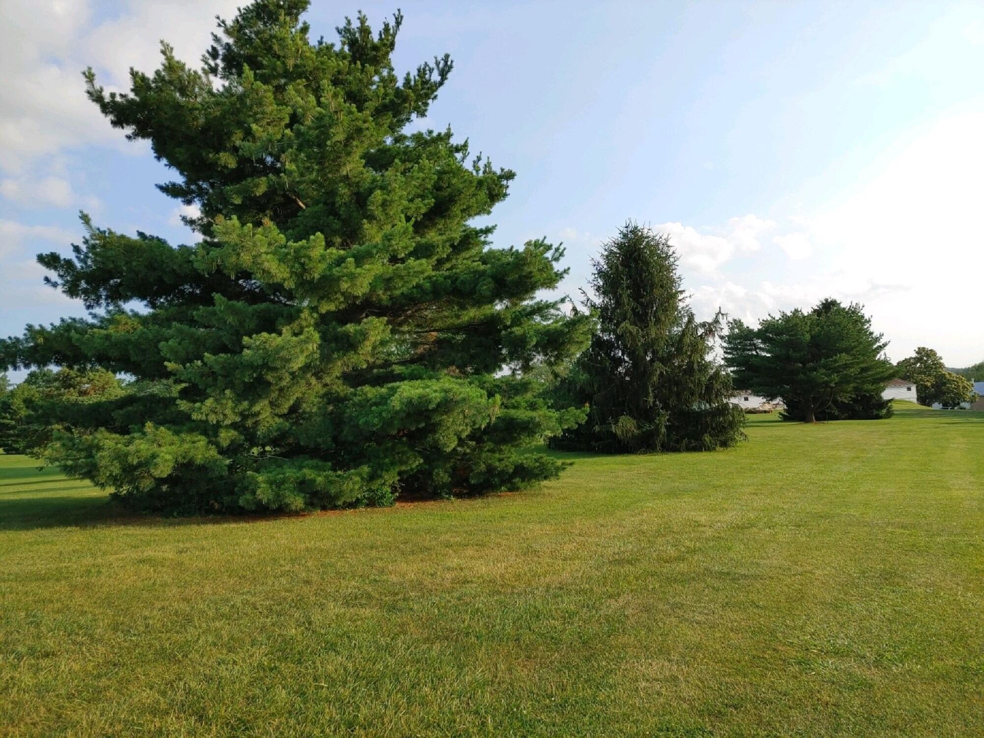 240 Coonpath Road Northeast Lancaster, OH 43130 - Photo 4 of 12 4