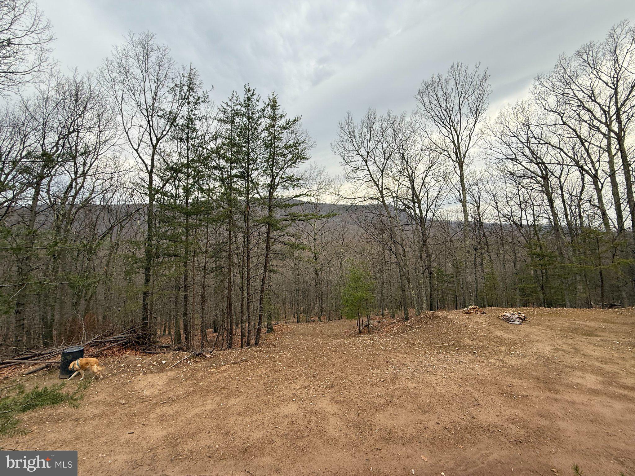 Advent Drive Augusta, WV 26704 - Photo 15 of 65 Serene woodland retreat awaits you.