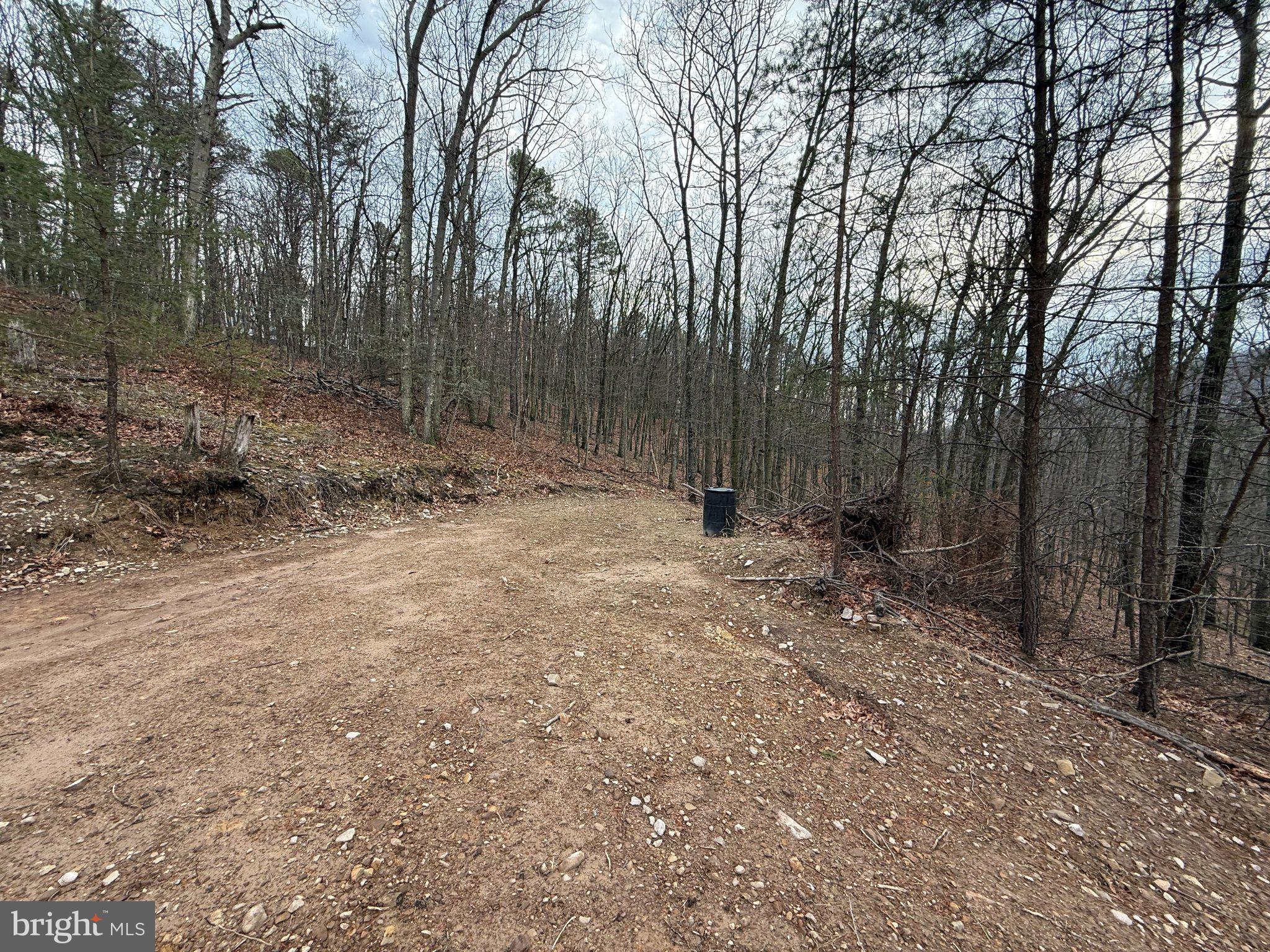Advent Drive Augusta, WV 26704 - Photo 31 of 65 a view of a forest with trees in the background