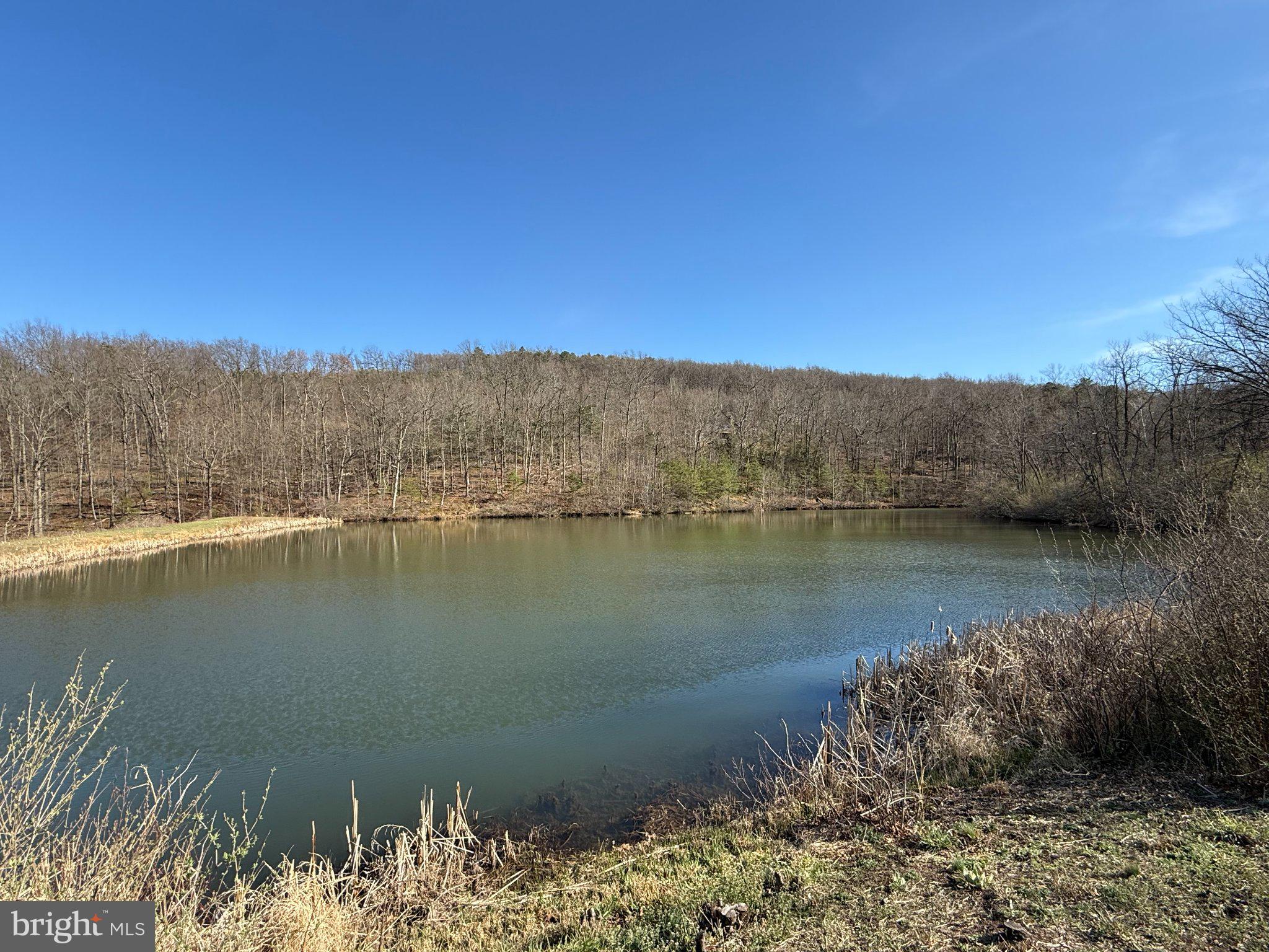 Advent Drive Augusta, WV 26704 - Photo 40 of 65 a view of lake