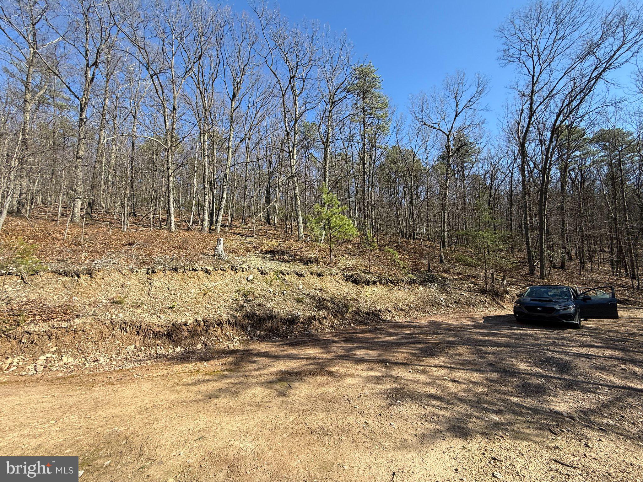 Advent Drive Augusta, WV 26704 - Photo 51 of 65 Serene woodland escape awaits you.