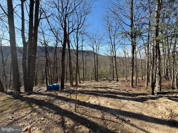 $65,000 | Advent Drive, Augusta, WV 26704