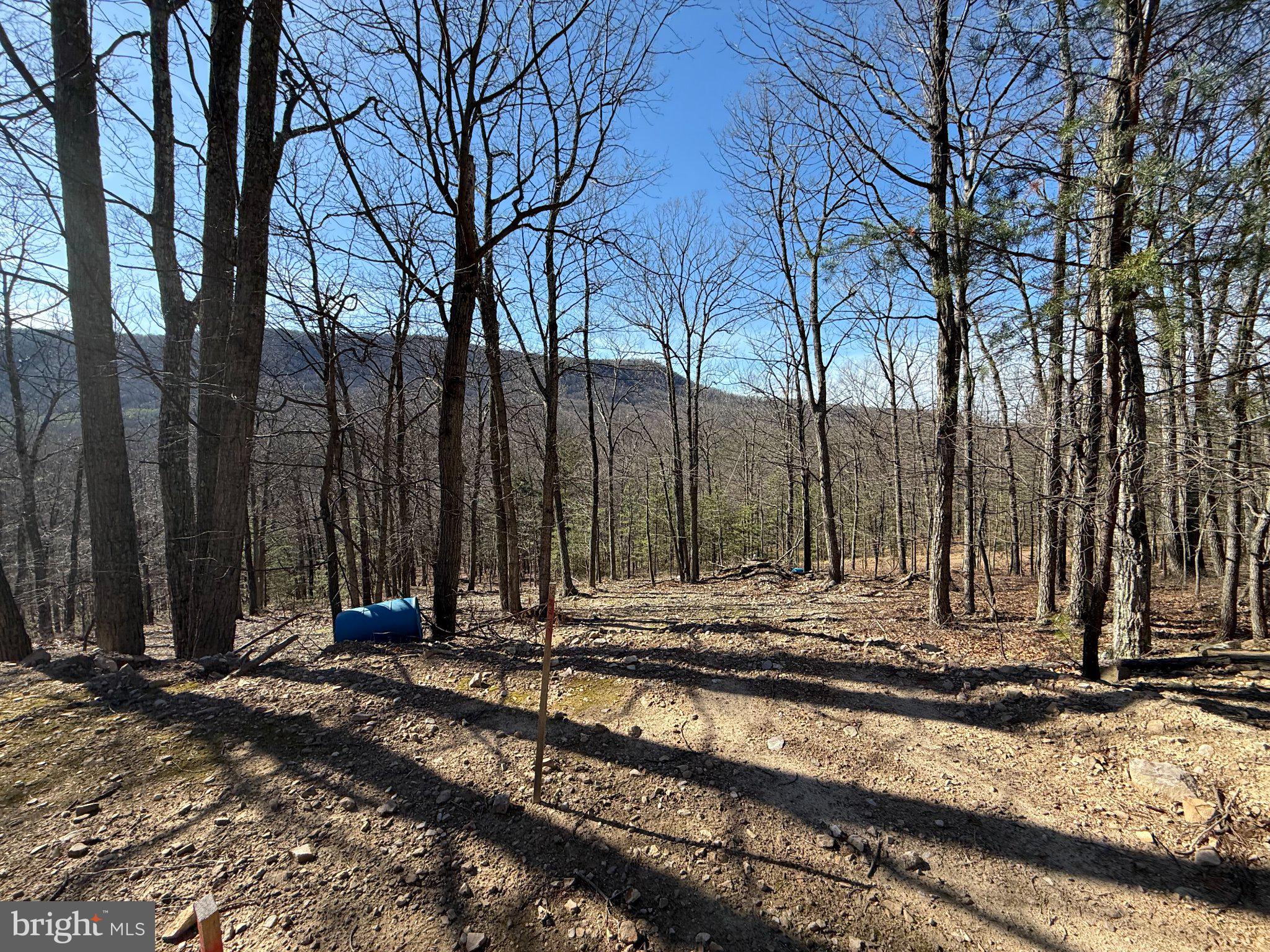 Advent Drive Augusta, WV 26704 - Photo 60 of 65 a view of a backyard with large trees