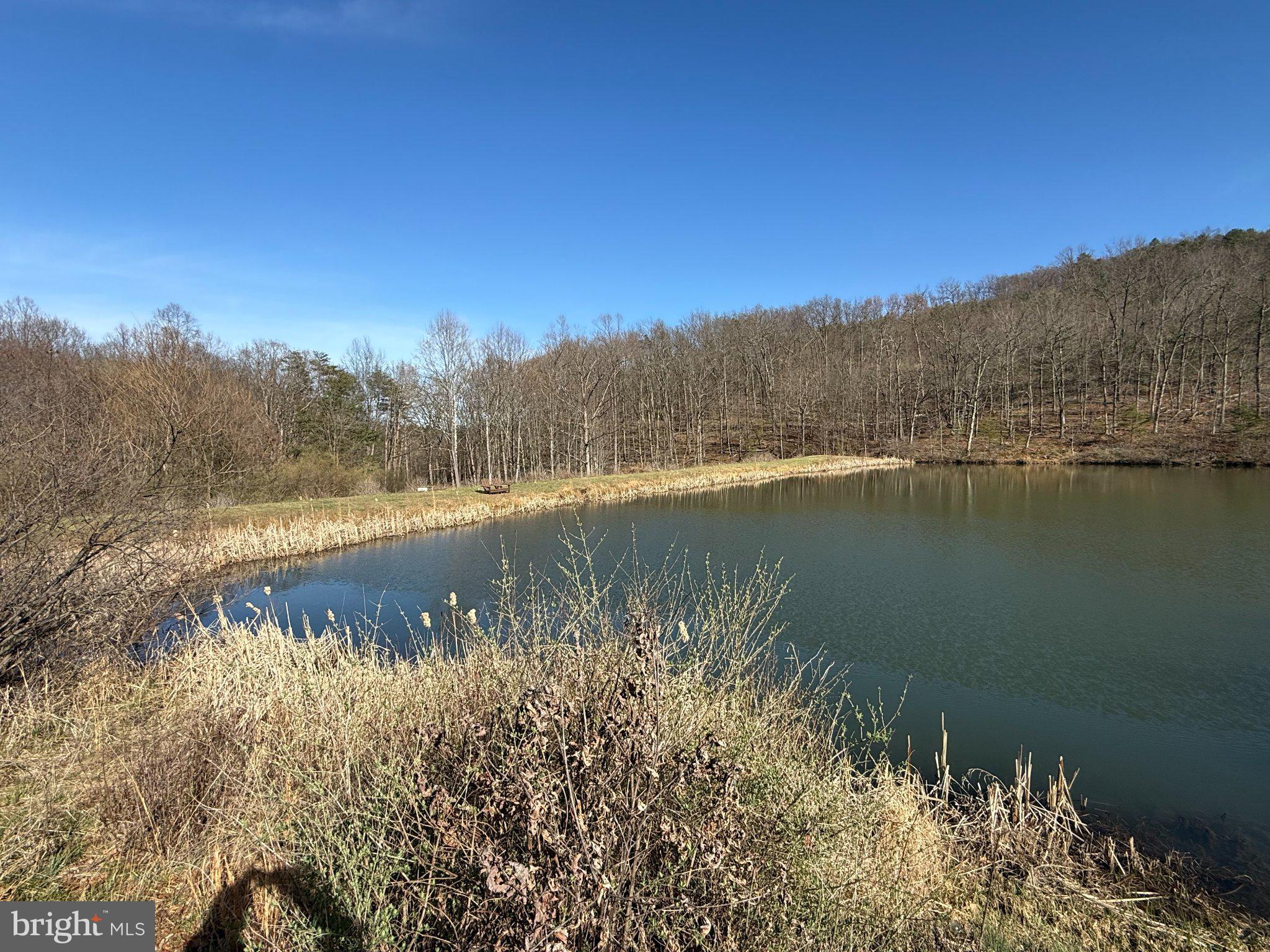Advent Drive Augusta, WV 26704 - Photo 62 of 65 a view of lake with mountain