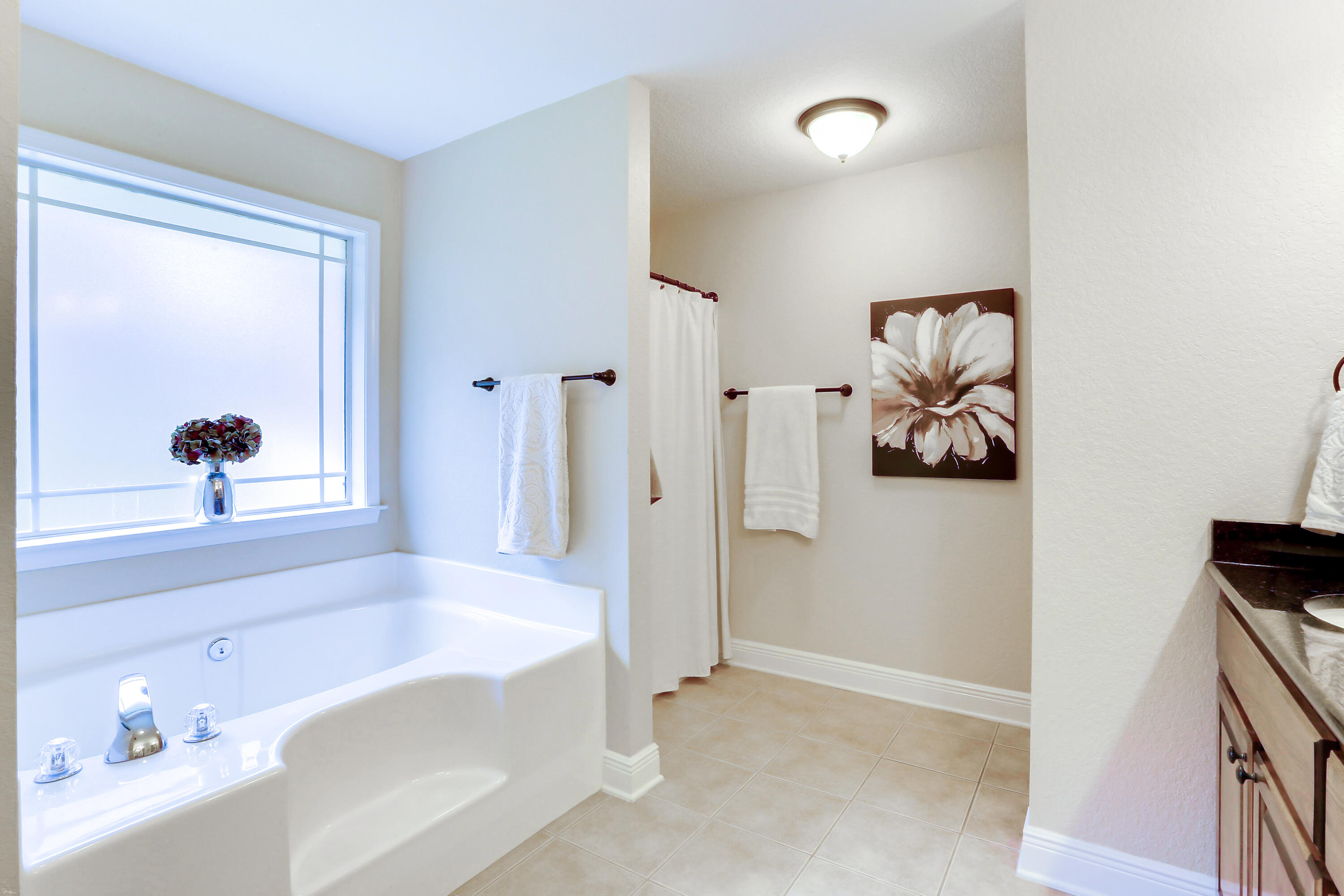 202 Pinque Coat Court Crestview, FL 32536 - Photo 29 of 35 a bathroom with a bathtub and a shower