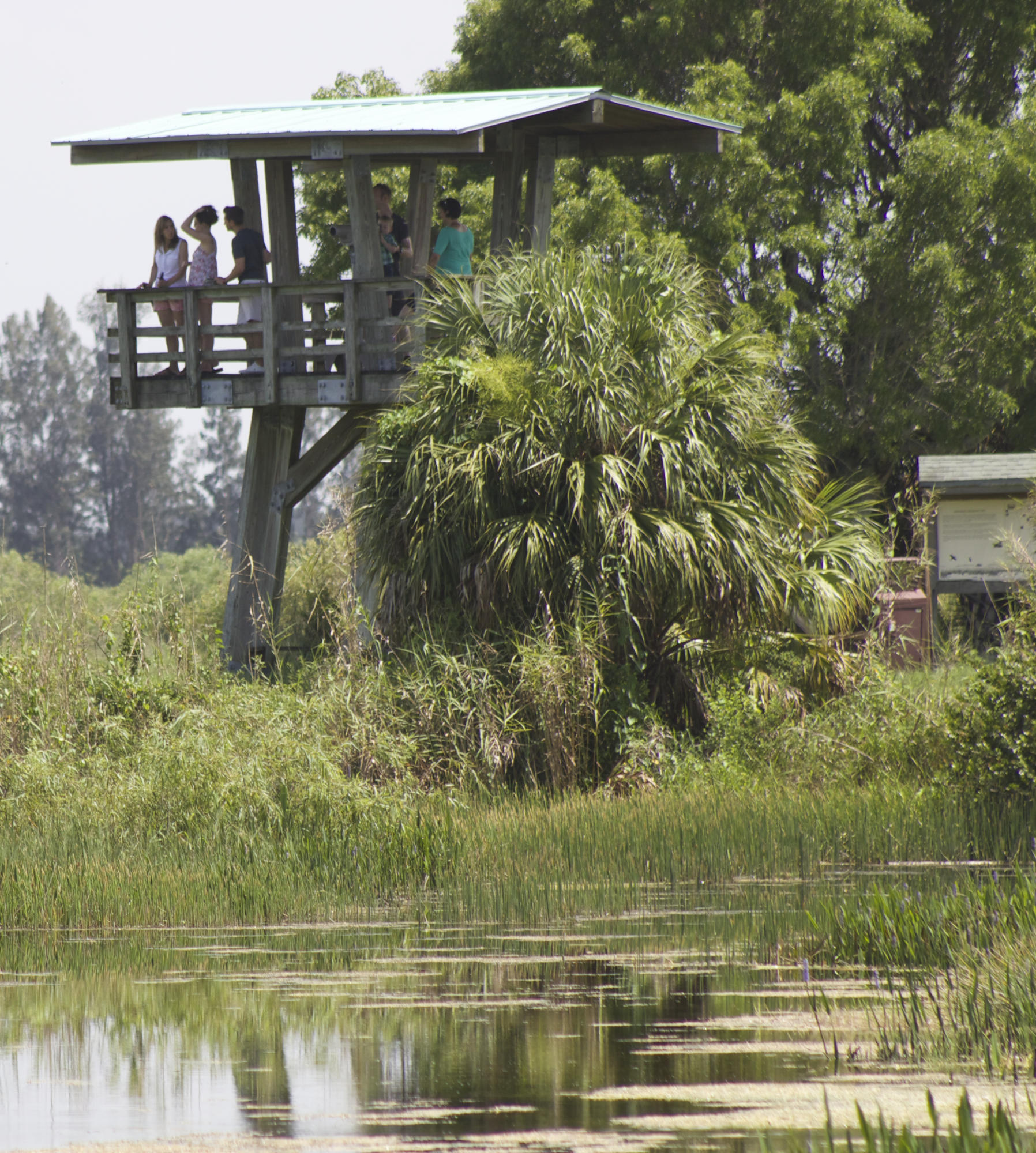 8841 First Tee Road Port St. Lucie, FL 34986 - Photo 223 of 228 273 Loxahatchee Refuge Observation Tower