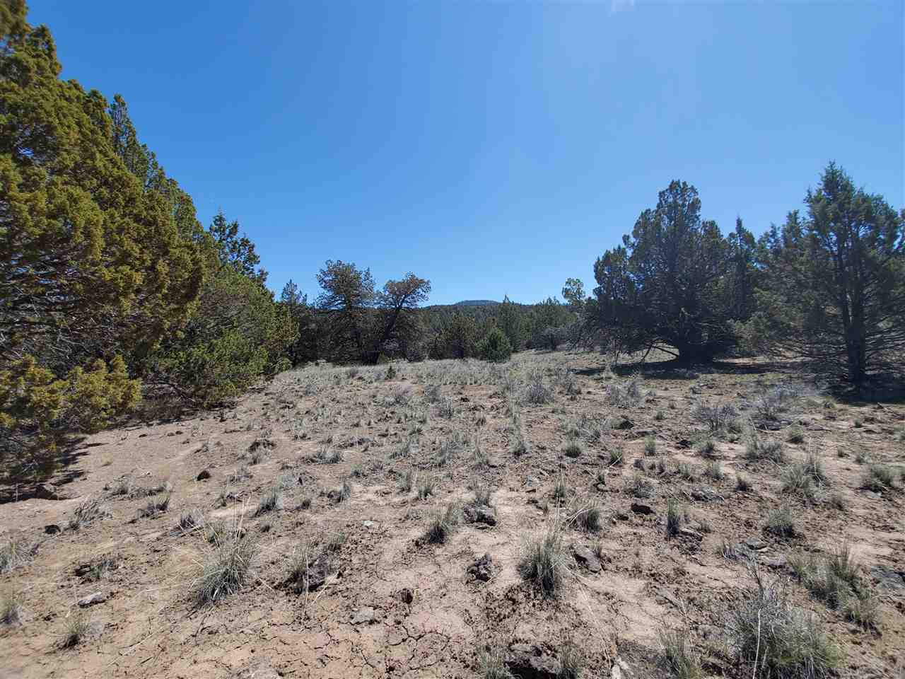 Off Homeland Rd Off Homeland Road Macdoel, CA 96058 - Photo 7 of 24 Gallery Image 7