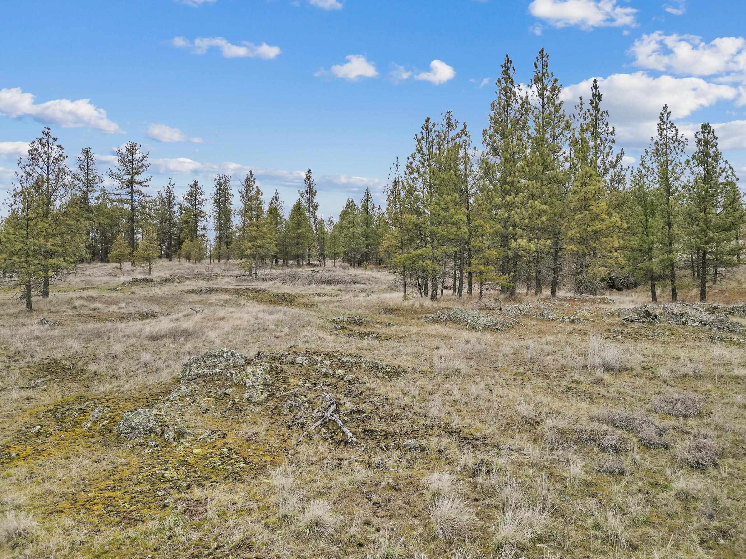 Nka West Cheney Plaza Road, Unit LOT A Cheney, WA 99004 - Photo 12 of 17