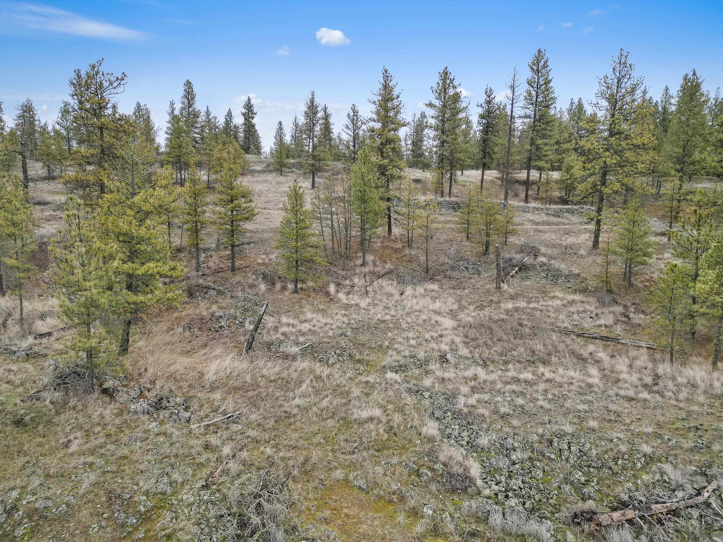 Nka West Cheney Plaza Road, Unit LOT A Cheney, WA 99004 - Photo 13 of 17