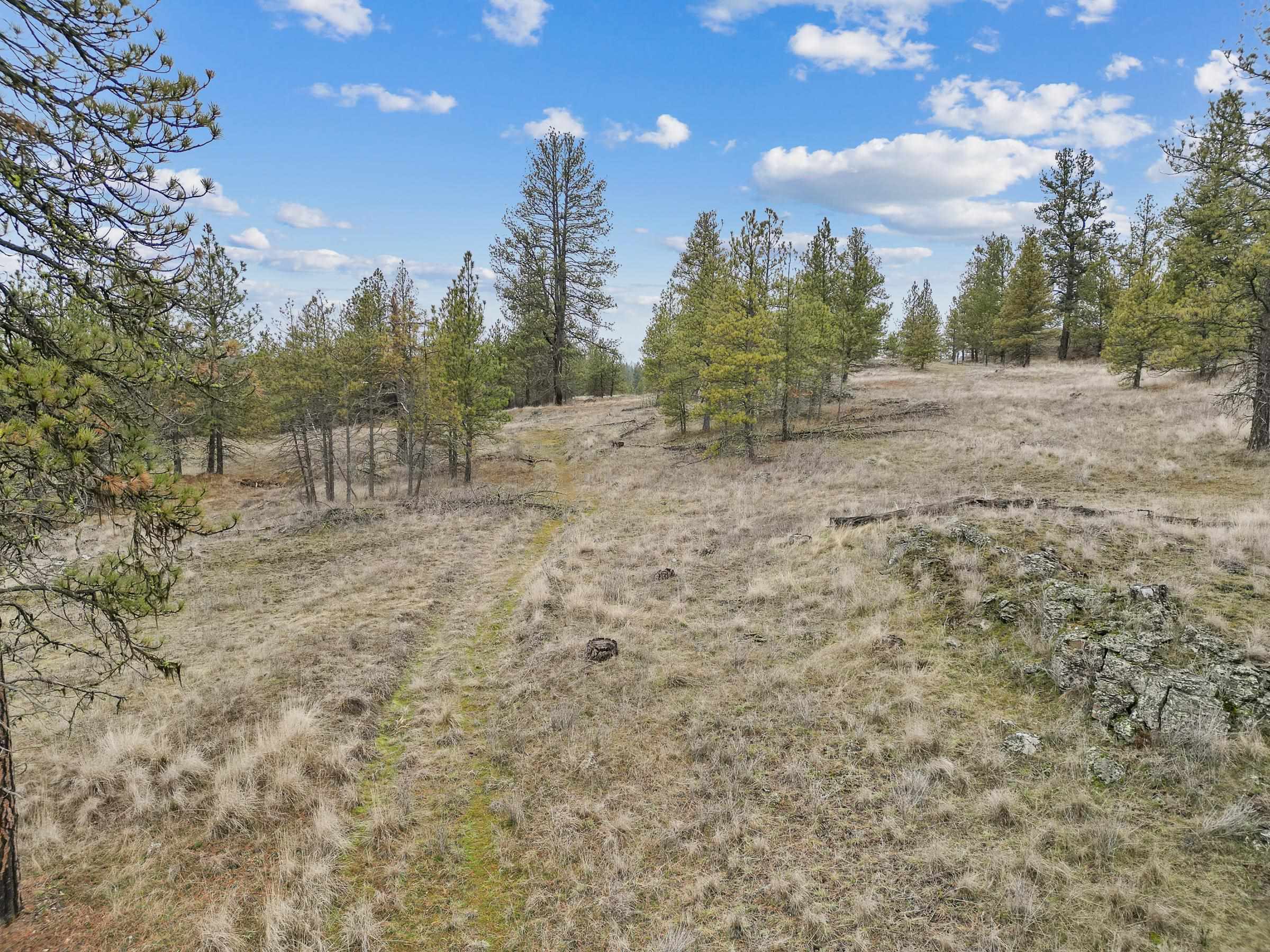 Nka West Cheney Plaza Road, Unit LOT A Cheney, WA 99004 - Photo 14 of 17