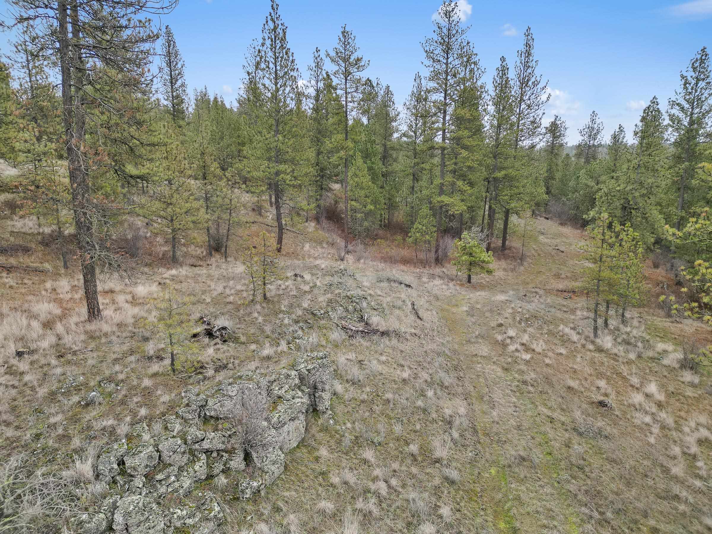 Nka West Cheney Plaza Road, Unit LOT A Cheney, WA 99004 - Photo 15 of 17