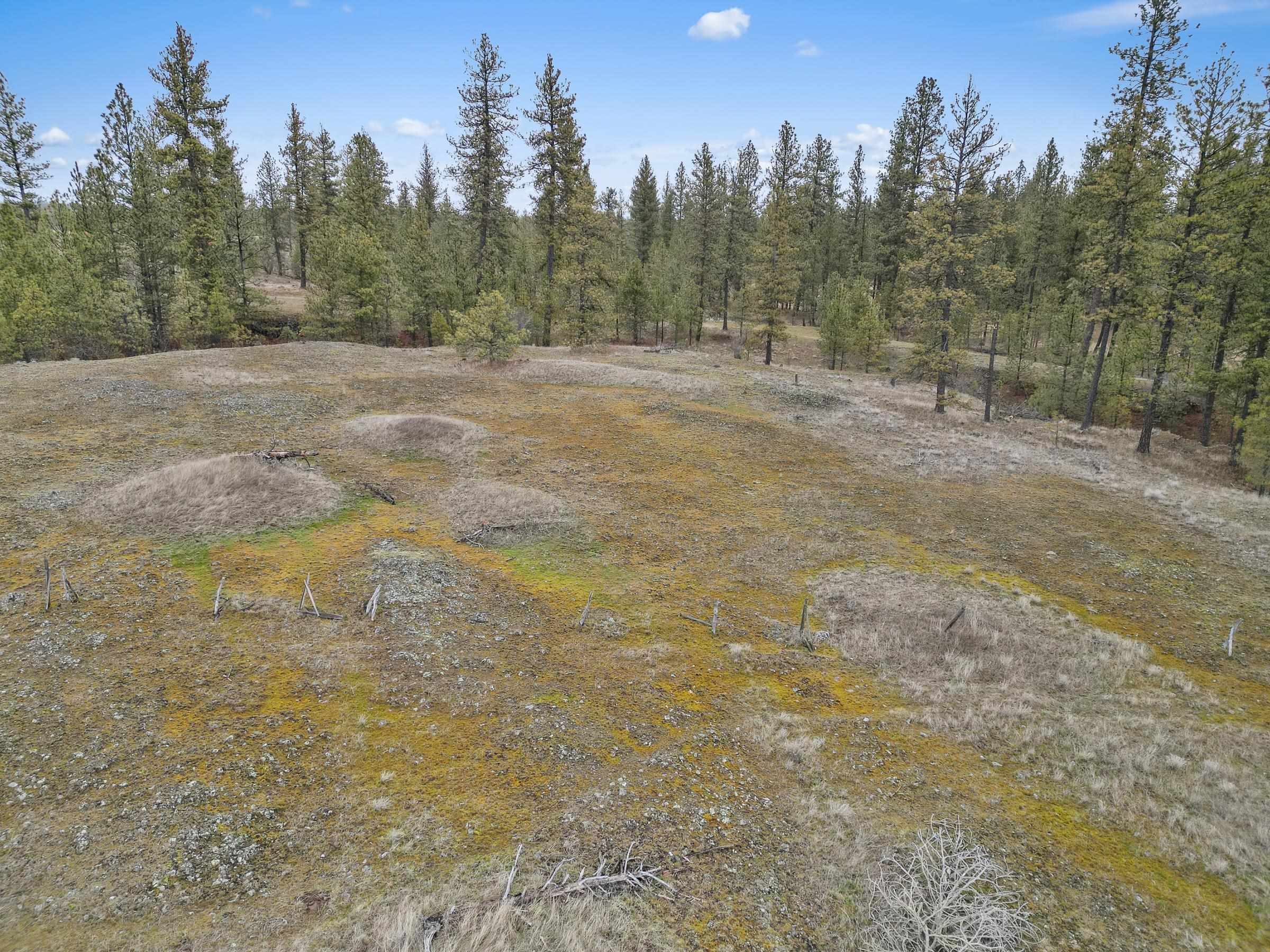 Nka West Cheney Plaza Road, Unit LOT A Cheney, WA 99004 - Photo 16 of 17