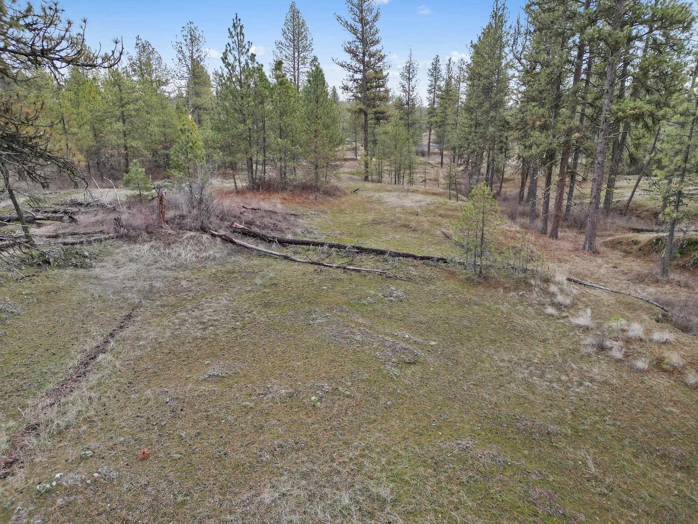 Nka West Cheney Plaza Road, Unit LOT A Cheney, WA 99004 - Photo 5 of 10