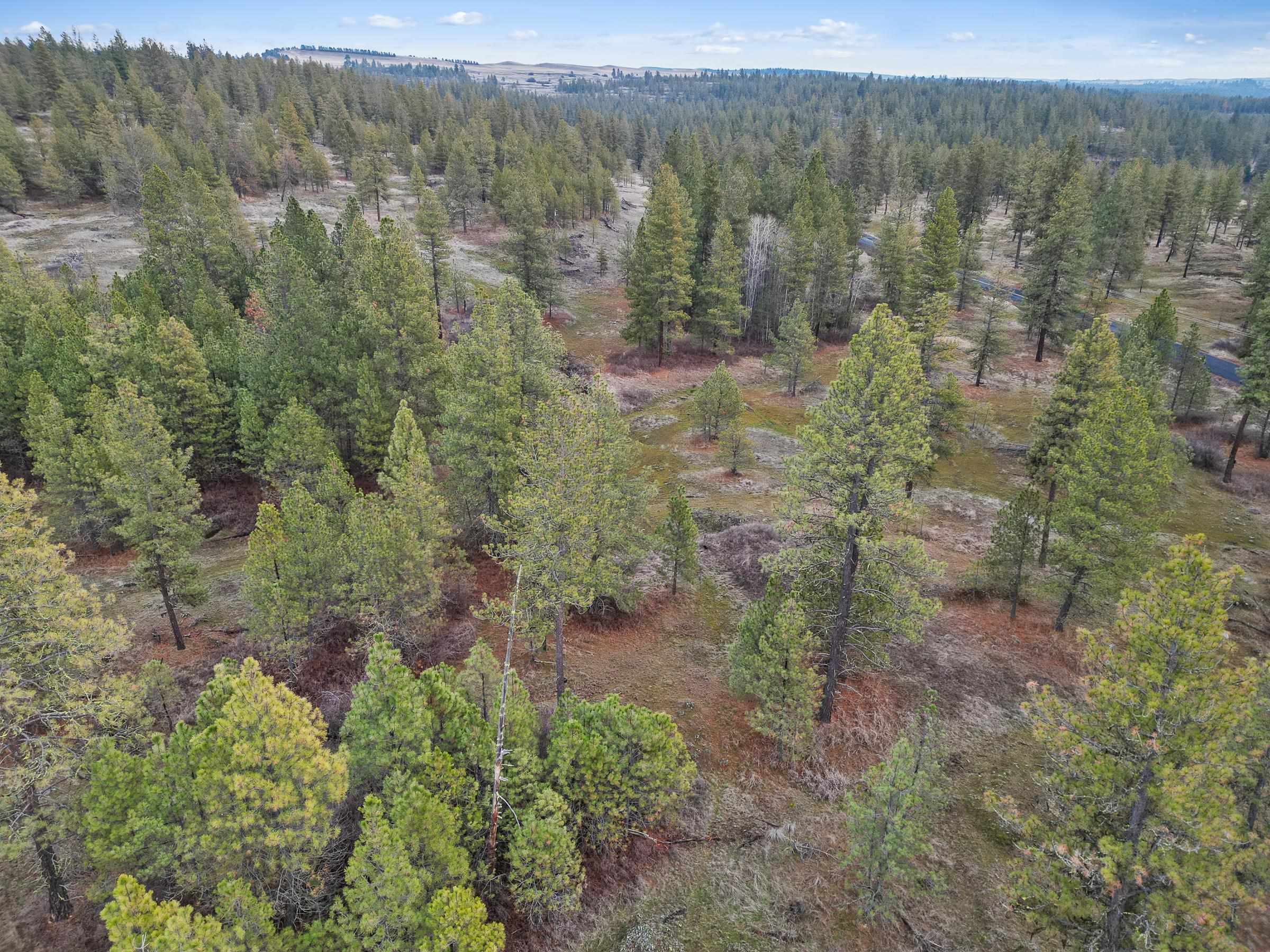 Nka West Cheney Plaza Road, Unit LOT A Cheney, WA 99004 - Photo 6 of 10