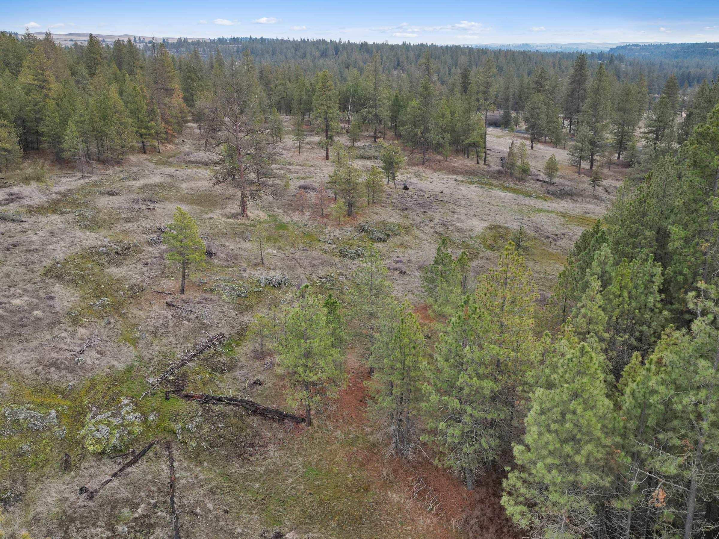 Nka West Cheney Plaza Road, Unit LOT A Cheney, WA 99004 - Photo 7 of 10