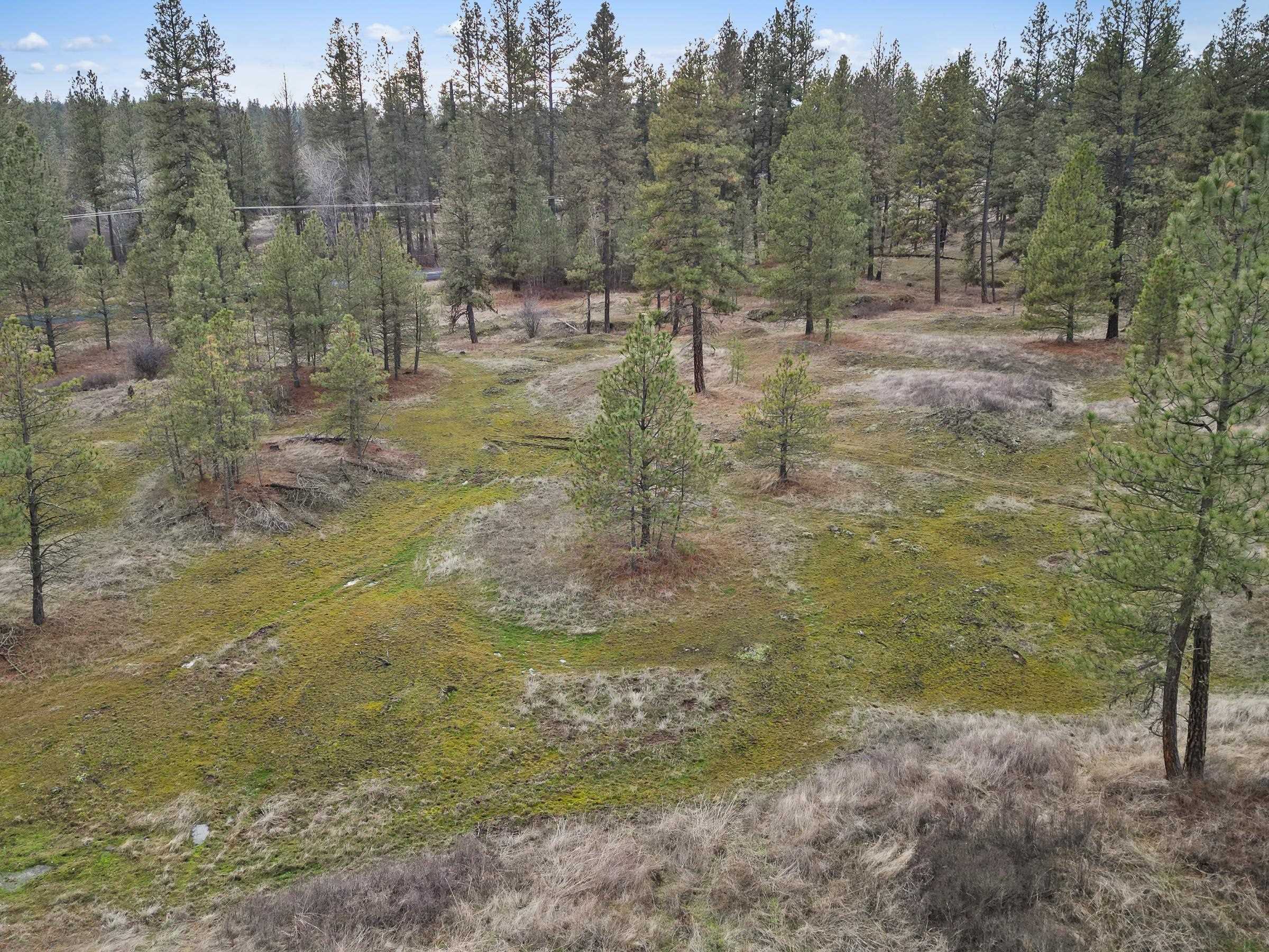 Nka West Cheney Plaza Road, Unit LOT A Cheney, WA 99004 - Photo 8 of 10