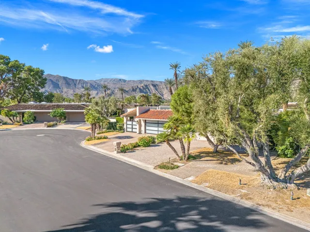 a view of a yard with a tree