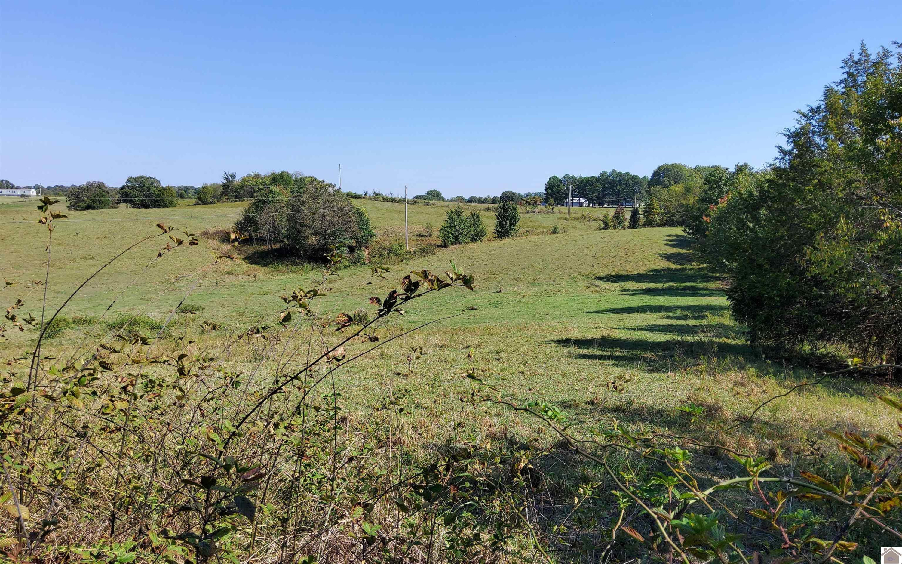 0 McKinney Road Kuttawa, KY 42055 - Photo 1 of 2 Photo 1