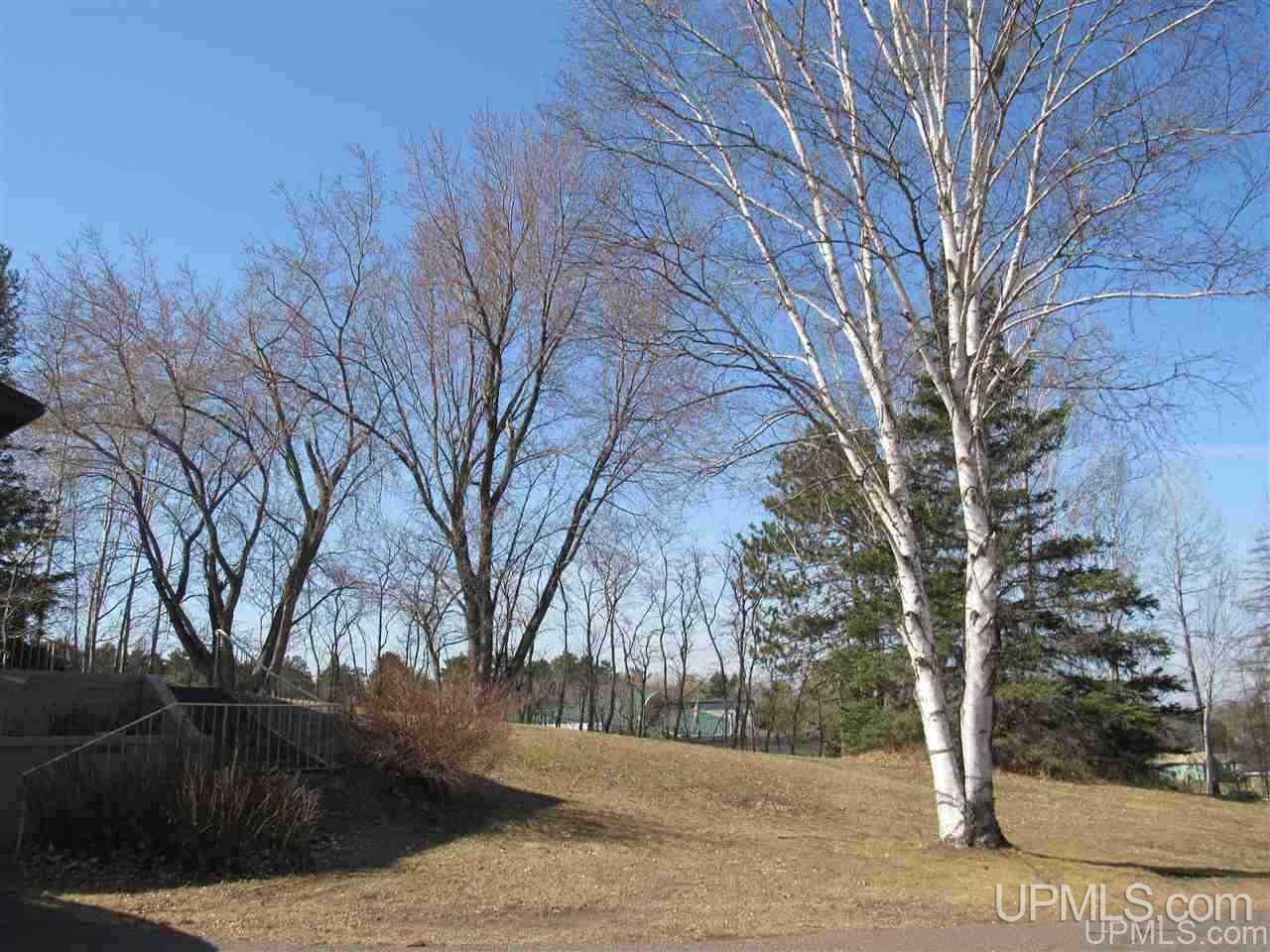 100 South Spruce Lanse, MI 49946 - Photo 9 of 50