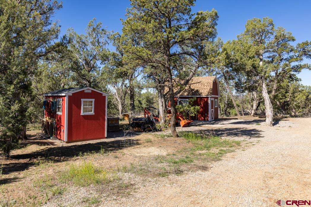 553 Cow Canyon Road Ignacio, CO 81137 - Photo 21 of 34 a view of a fire pit with large trees
