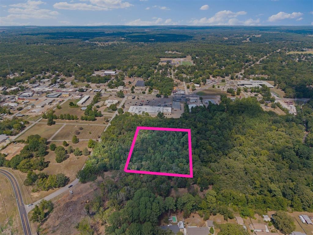 175 Goldsmith Street Quitman, TX 75783 - Photo 6 of 13 Wooded land parcel with mature trees and surrounding green spaces