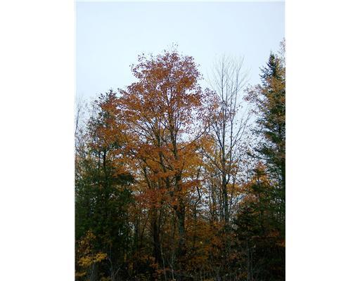 Land/Lot.