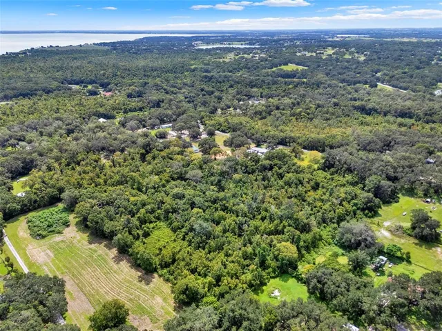 a view of a city with green field