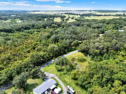a view of a lush green forest with a houses