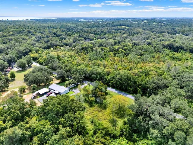a view of a lush green forest with a house