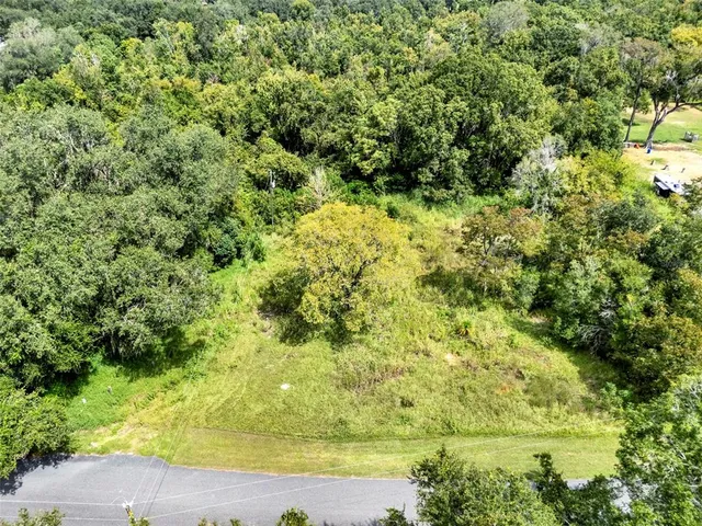 a view of a garden with a tree