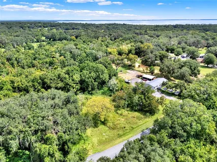 a view of a green field with lots of bushes