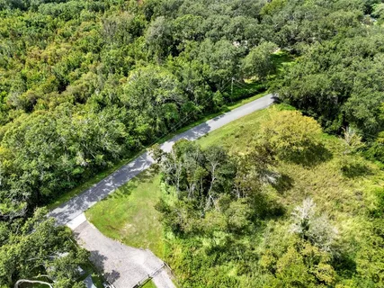 a view of a forest with a house