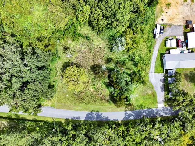 a view of a garden with plants