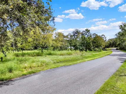 a view of a yard with flower plants and large trees