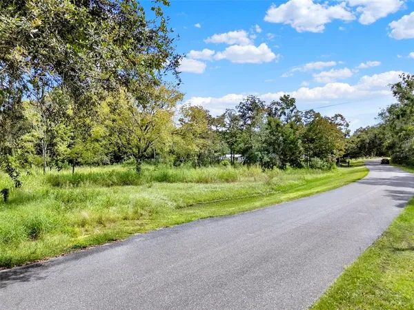a view of a yard with flower plants and large trees