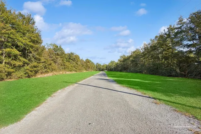 a view of a road with a yard