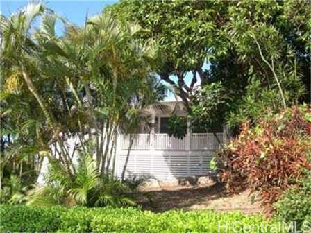 2639 Pamoa Road Honolulu, HI 96822 - Photo 1 of 1 a view of a yard with plants and trees