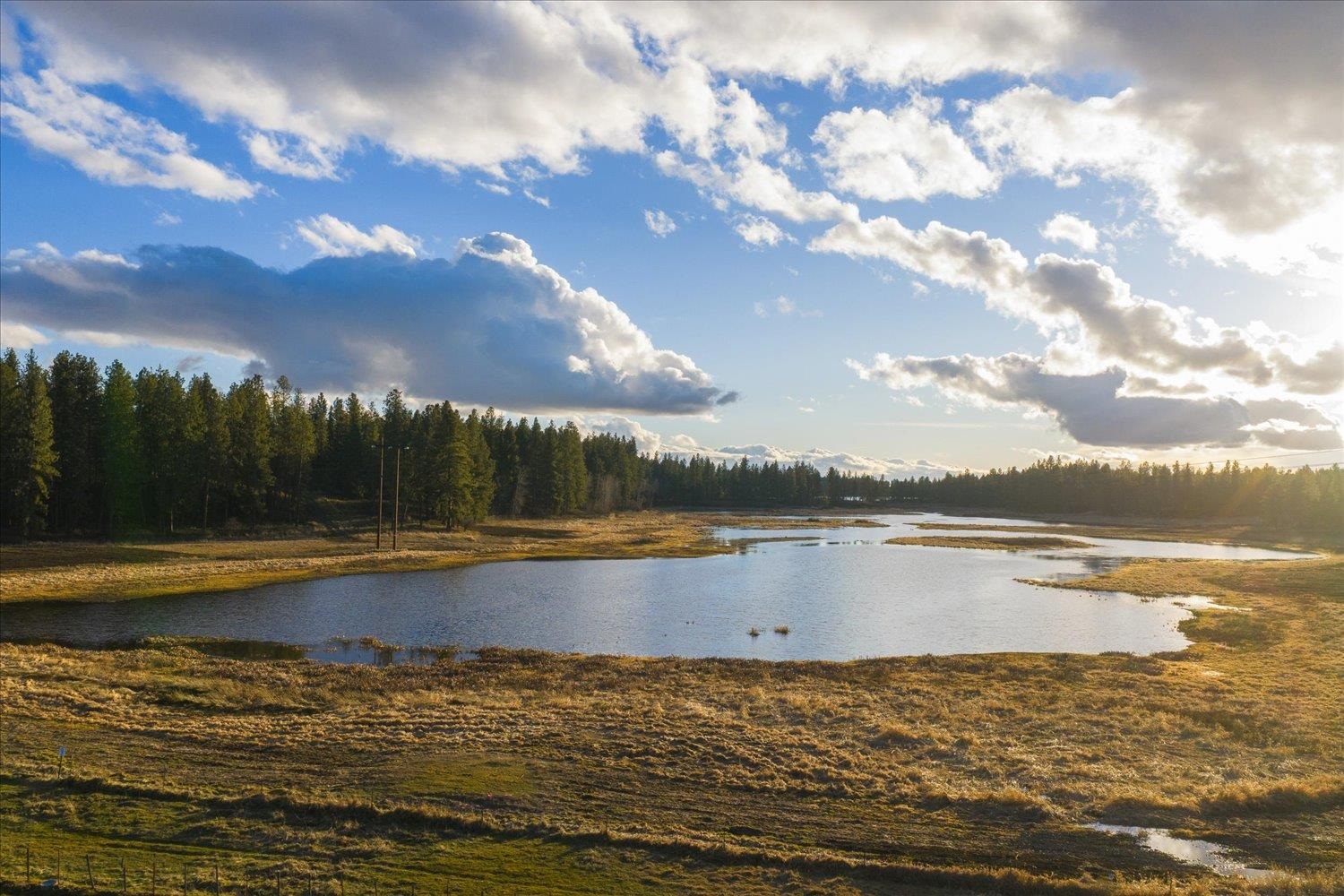1403 West Jennings Road Spangle, WA 99031 - Photo 12 of 24