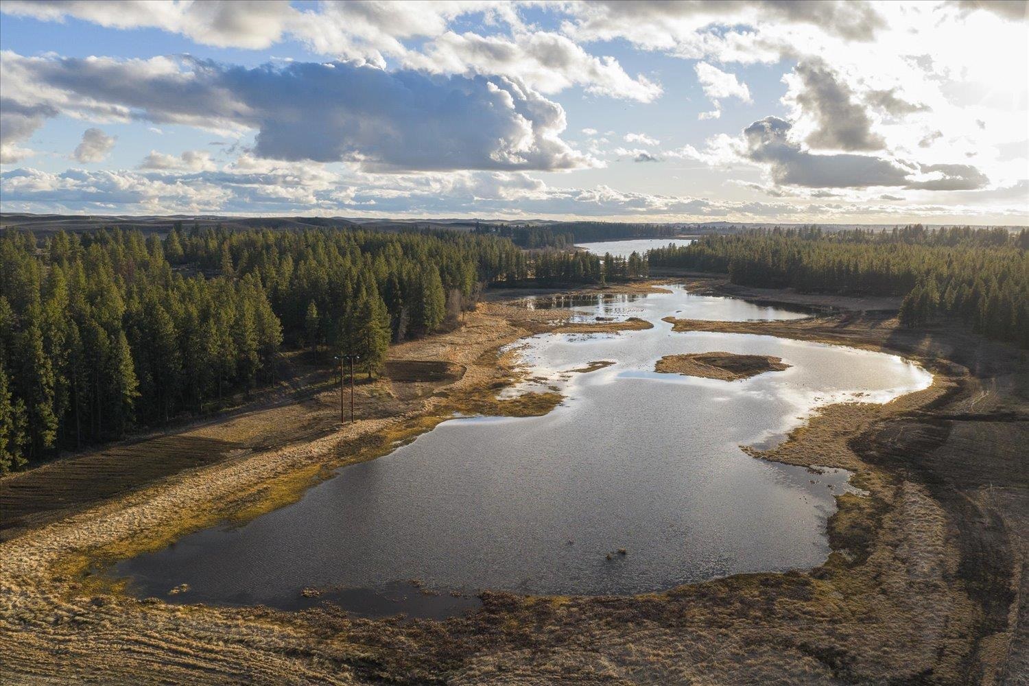 1403 West Jennings Road Spangle, WA 99031 - Photo 14 of 24