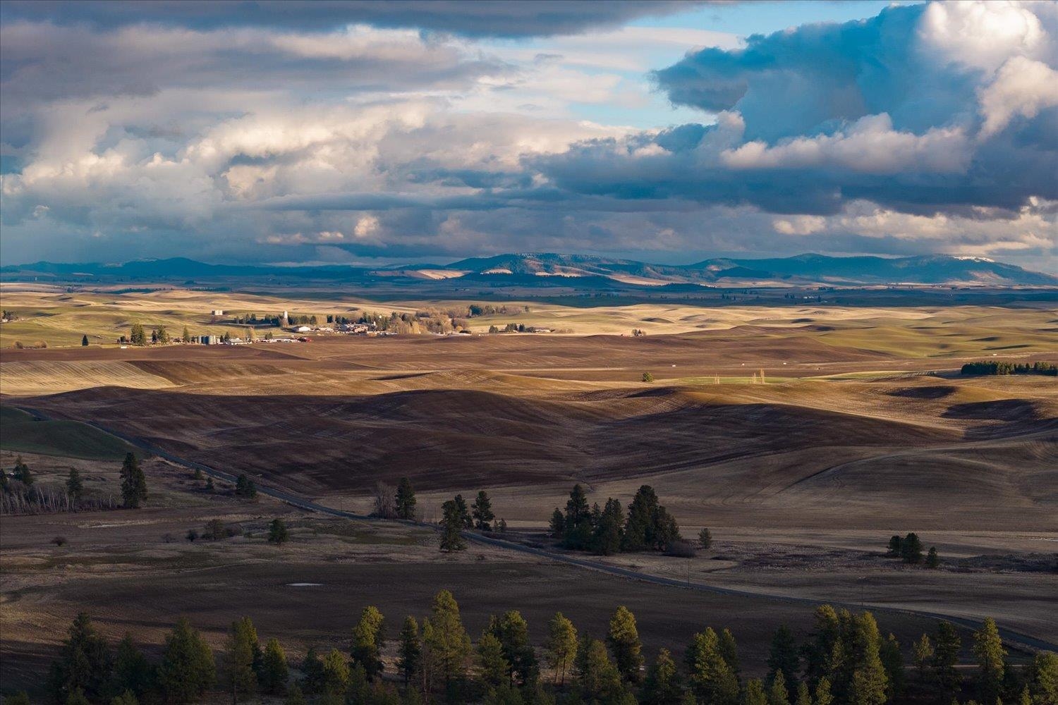 1403 West Jennings Road Spangle, WA 99031 - Photo 23 of 24